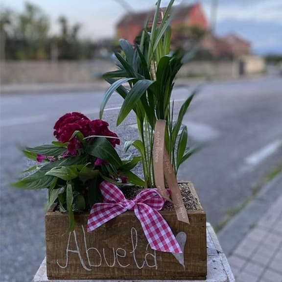 Plantas - Entre Flores