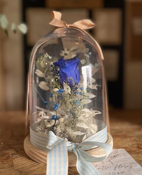 Cúpulas flores preservadas